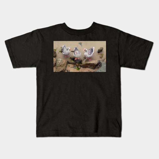 The Three Geese of Apollo Bay Kids T-Shirt by rozmcq